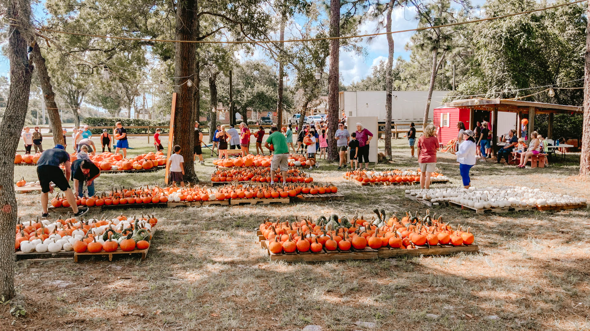 About Good Shepherd Lutheran Church - Deltona, Florida